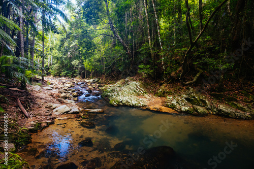 Cougal Cascades Walk in QLD Australia