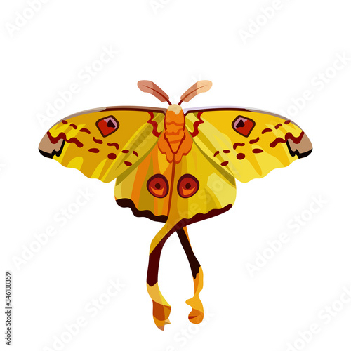 Isolated vector image of a bright yellow butterfly Argema mittrei. Madagascar comet, Saturniidae. Lepidoptera. Realistic art, beautiful tropical insect, exotic animal, subtropical fauna. 