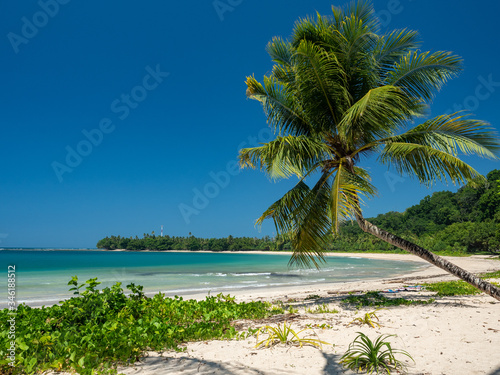 Tropical beach in Vanimo city, surf spot, surf beach, full of palmtrees and jungle, West Sepik, Papua New Guinea