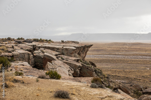 Petrified Forest in National Park in Arizona