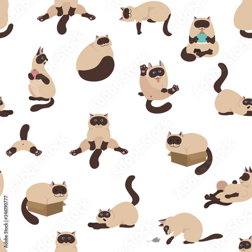 Cartoon cat characters seamless pattern. Different cat`s poses, yoga and emotions set. Flat color simple style design. Siamese colorpoint cats