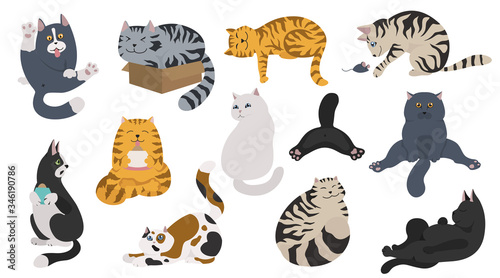 Cartoon cat characters collection. Different cat`s poses, yoga and emotions set. Flat color simple style design