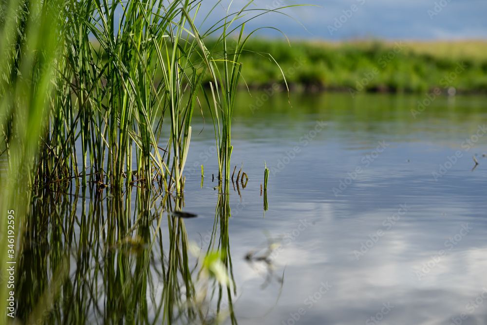 Fototapeta premium river