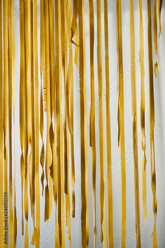 curtain of fresh fettuccine pasta flat egg noodles hanging to dry for storage