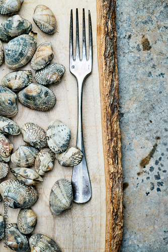 fresh cockle clams on wood cutting board on concrete countertop ready for cooking