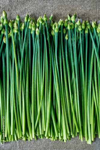 fresh stems of garlic chives with dew on linen