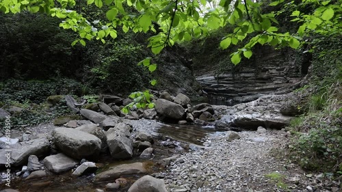 river between rocks in a green forest