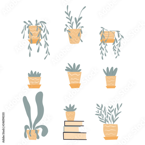 Set of cute house plants in pots. Vector flat illustration of hand drawn home flowers.
