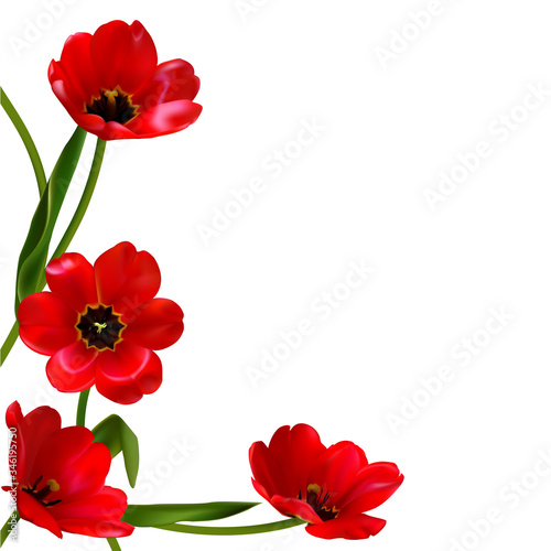 Red flowers. Floral background. Tulips. Border. Green. Leaves.