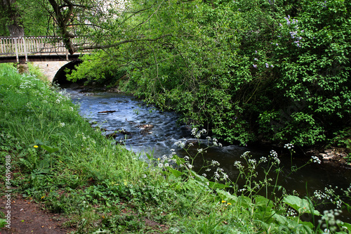 Ein kleiner Bach in Bissendorf