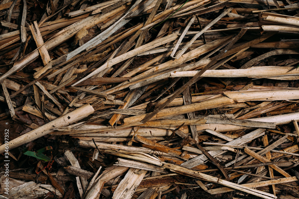 texture pattern yellow dry old grass by the river broken and rumpled last year's texture pattern yellow dry old grass by the river broken and rumpled last year's