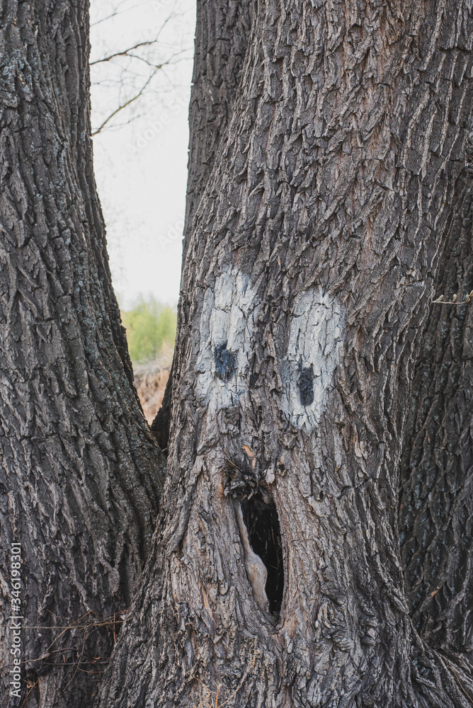 Fototapeta premium Old tree with a hollow and painted eyes.