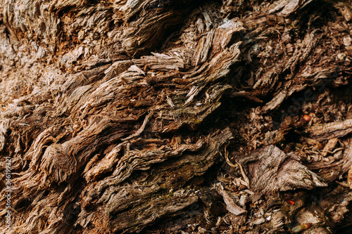 brown pattern texture of old wood chips bark shot close