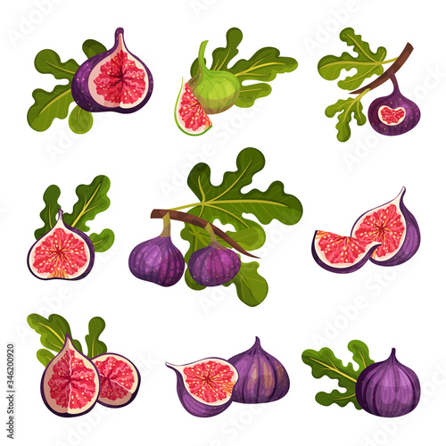 Fig Fruit Whole and Cut with Thin Skin and Many Small Seeds Inside Vector Set
