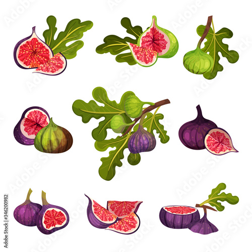Fig Fruit Whole and Cut with Thin Skin and Many Small Seeds Inside Vector Set