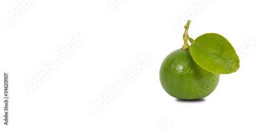 One lemon can be isolated on a white background with space to put text