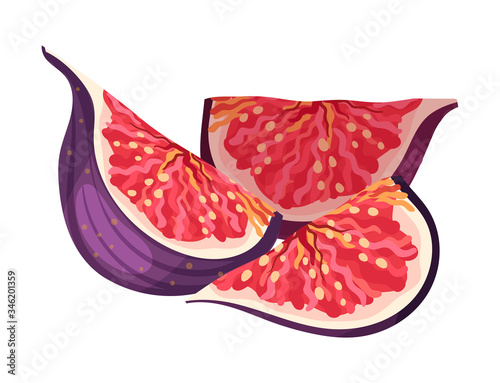Cut Fig Fruit Showing Bright Flesh with Small Seeds Inside Vector Illustration