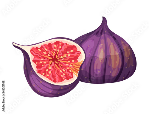 Cross Section of Fig Fruit Showing Bright Flesh with Small Seeds Inside Vector Illustration photo