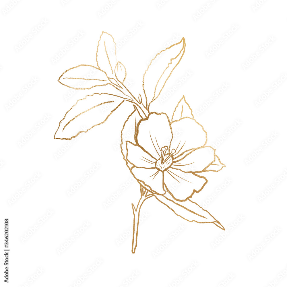 Gold summer floral line art on the white isolated background. Gold foil floral element for invitation decor.