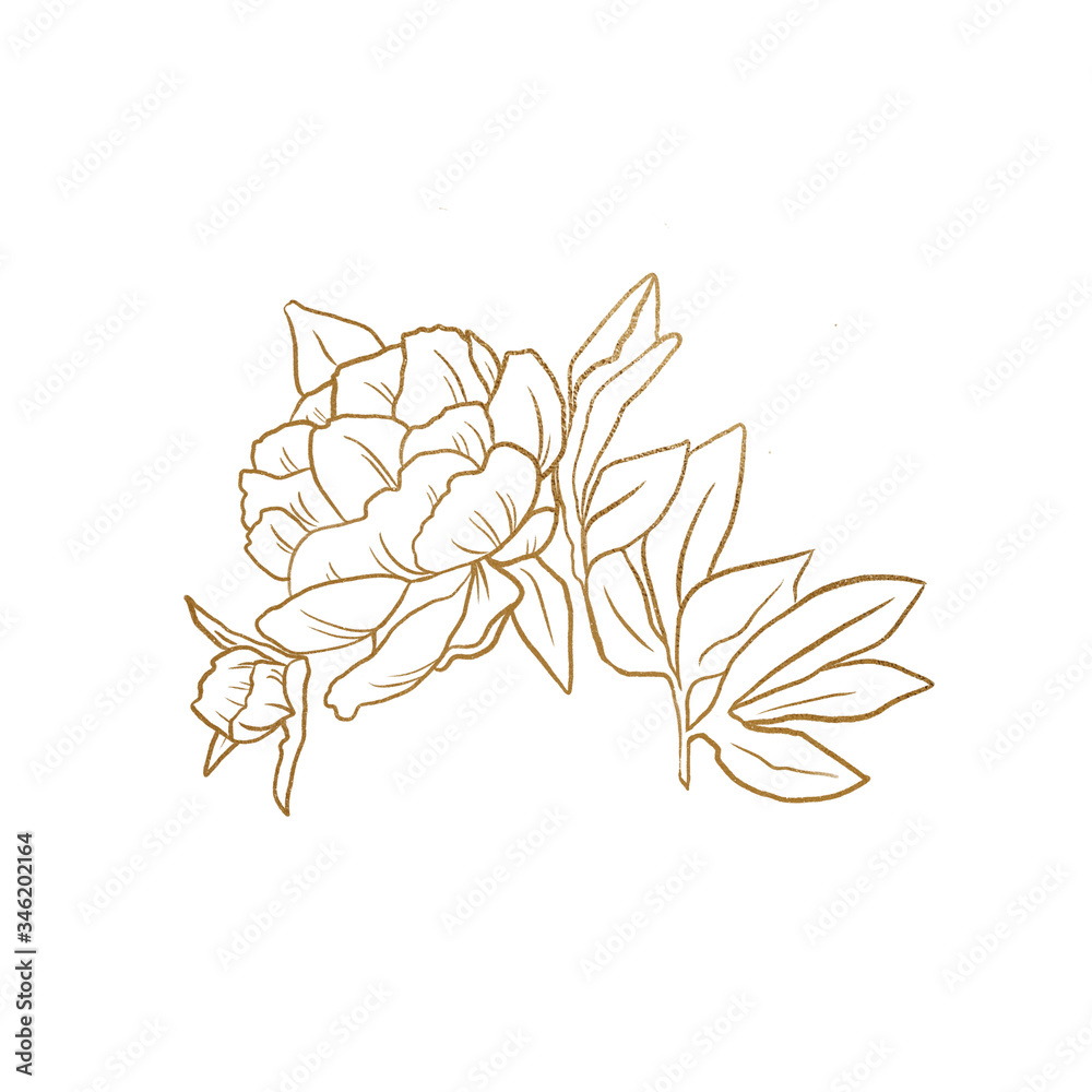 Gold summer floral line art on the white isolated background. Gold foil floral element for invitation decor. Gold summer floral line art on the white isolated background. Gold foil floral element for invitation decor.