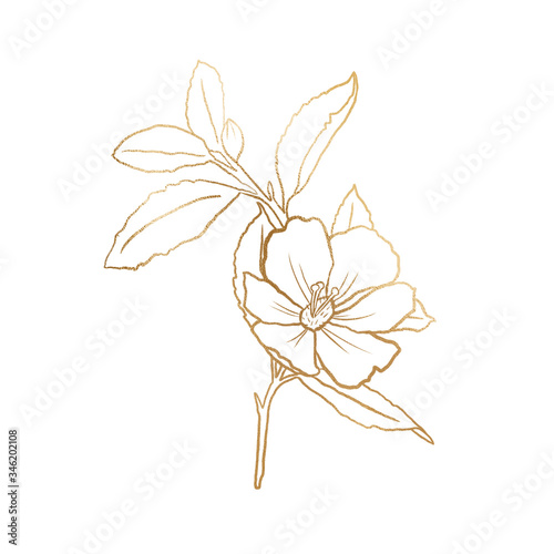 Gold summer floral line art on the white isolated background. Gold foil floral element for invitation decor.