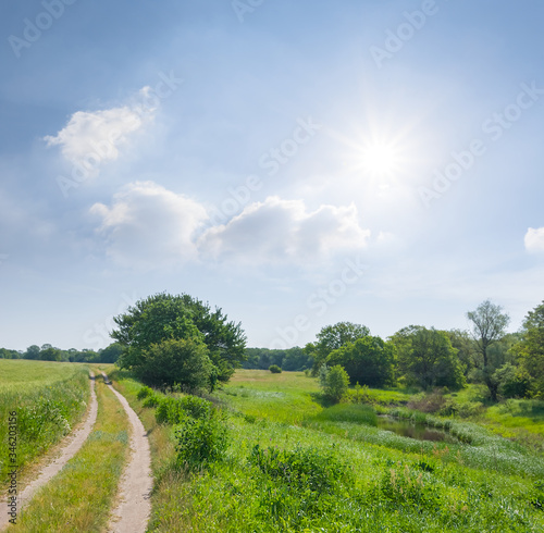 ground road among a green fields under a sparkle sun, summer countryside scene