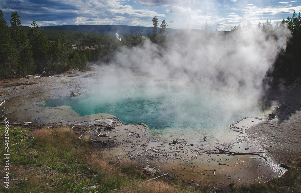 Green emerald turquoise basin with steam in Yellowstone national park United States on forest view and died trees. Memory card from vacation with world famous landmarks and hot springs geysers Wyoming