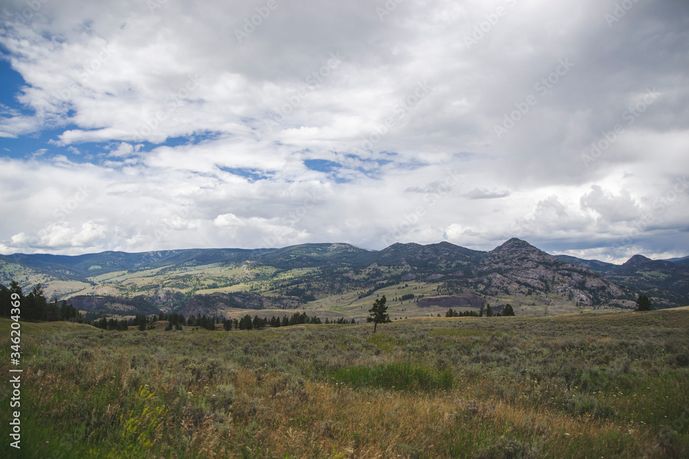 Mountain summer landscape in national park of United States of America, cloudy sky, yellow grass and green hills with trees as tourism panorama view in Yellowstone National Park for travel blog