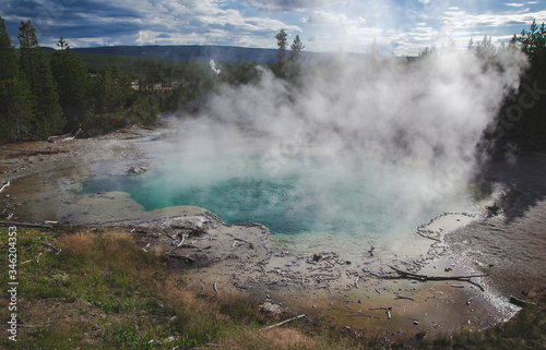Green emerald turquoise basin with steam in Yellowstone national park United States on forest view and died trees. Memory card from vacation with world famous landmarks and hot springs geysers Wyoming © Iryna Marienko