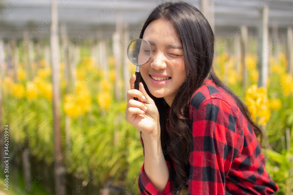 beauty asia farmer woman gardener of orchid gardening farm collection the orchids flower.Business owner garden farm using magnifying glass checking blooming in the garden. beauty asia farmer woman gardener of orchid gardening farm collection the orchids flower.Business owner garden farm using magnifying glass checking blooming in the garden.