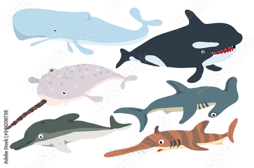 Fototapeta Naklejka Na Ścianę i Meble -  Vector set with underwater ocean fish, sperm whale , killer whale, narwhal, hammer fish, Dolphin, saw fish.