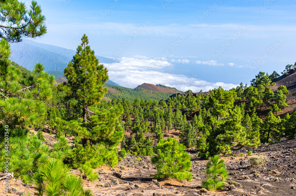 Panoramic view from the summits of the Ruta de los Volcanes