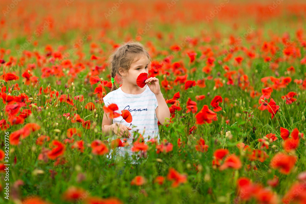 Beautiful child picking flowers in poppy field Beautiful child picking flowers in poppy field