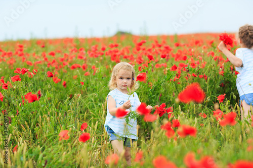 Beautiful children picking flowers in poppy field © andrey