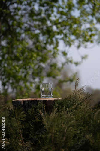 Glass of pure fresh water on the old tree stump. Green nature background. vertical frame