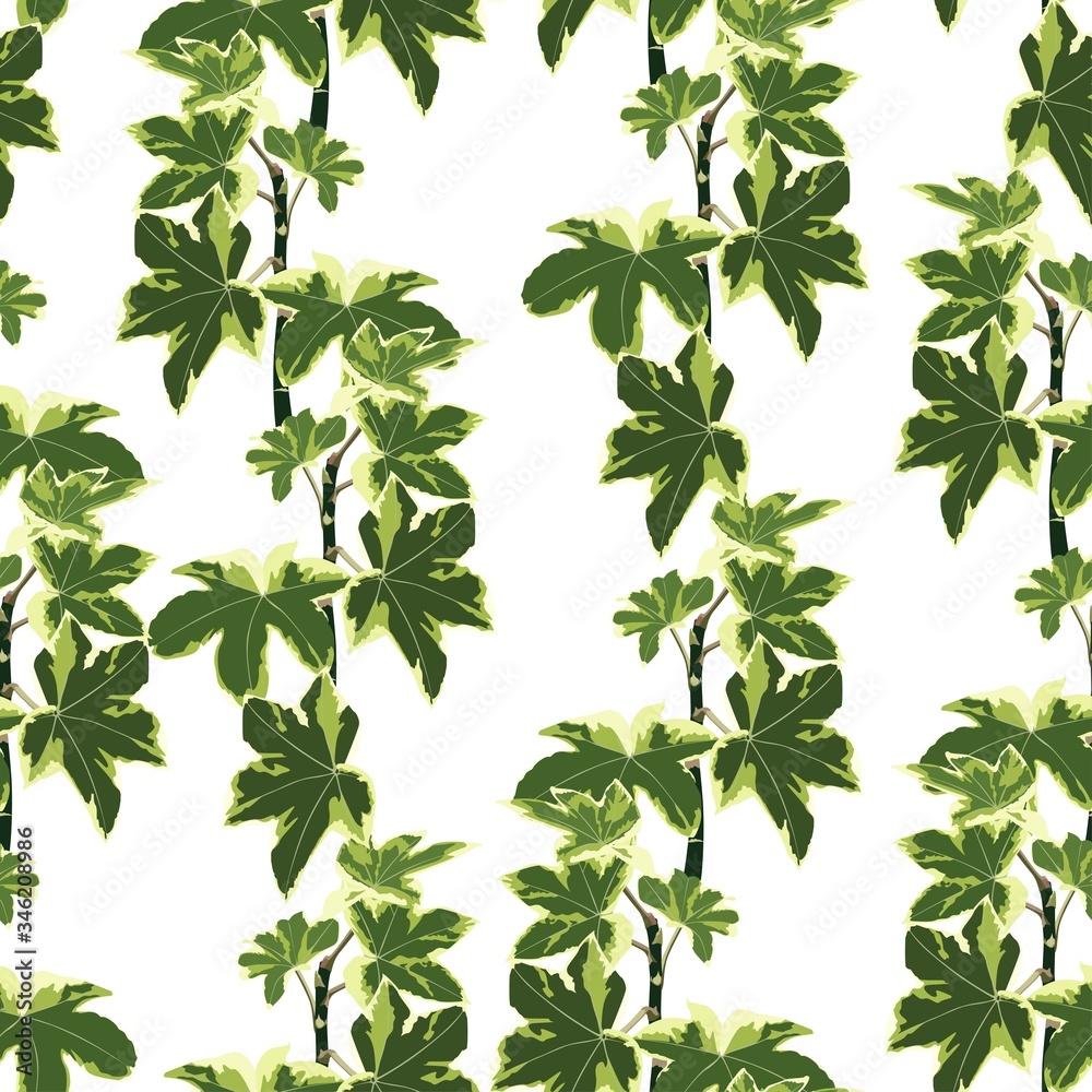 Fototapeta premium Seamless floral pattern. Background with ivy branches. Plants texture for design. Bright background.