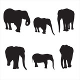 Elephant. Family of elephants with a cub. Large animal in different life situations, in poses: it stands still, moves its trunk. Side view, profile. Black silhouette is isolated on a white background.