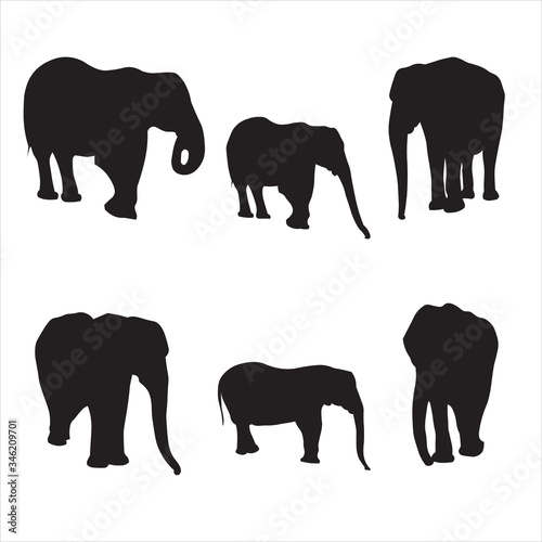 Elephant. Family of elephants with a cub. Large animal in different life situations  in poses  it stands still  moves its trunk. Side view  profile. Black silhouette is isolated on a white background.