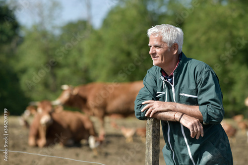 Fotografía Farmer leaning on fence, cattle in background