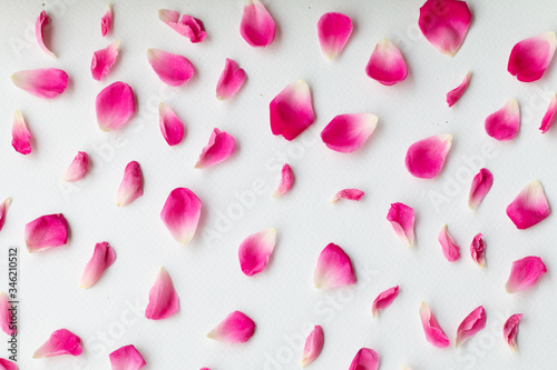 Close up image of pink roses on black background
