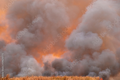 smoke pattern background of fire burn in grass fields. Raging flame of fire burn in grass fields, forests and black and white smoke to sky. Big wildfire close-up. pollution in air from wildfire concep
