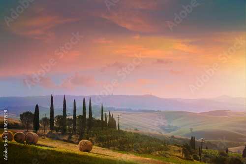Fototapeta Naklejka Na Ścianę i Meble -  beautiful summer Italian Tuscany countryside landscape; farmland, cypress and olive tree over sunset sky