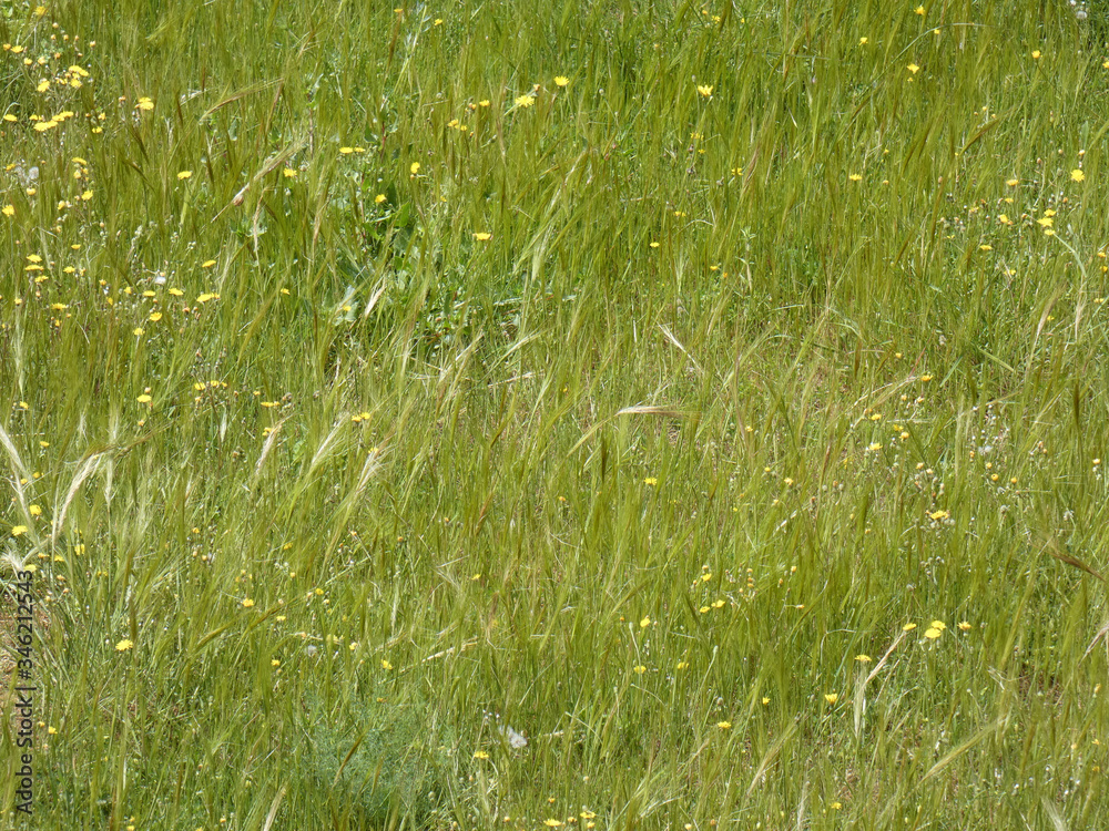 Paesaggio Paesaggio