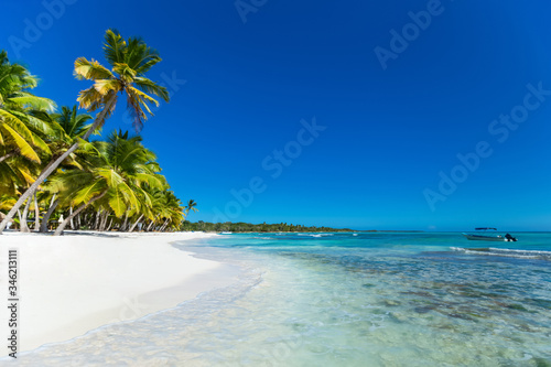  Sea Caribbean landscape in Dominican republic with palm trees, sandy beach, green mountains, rocks, blue sky and turquoise water 