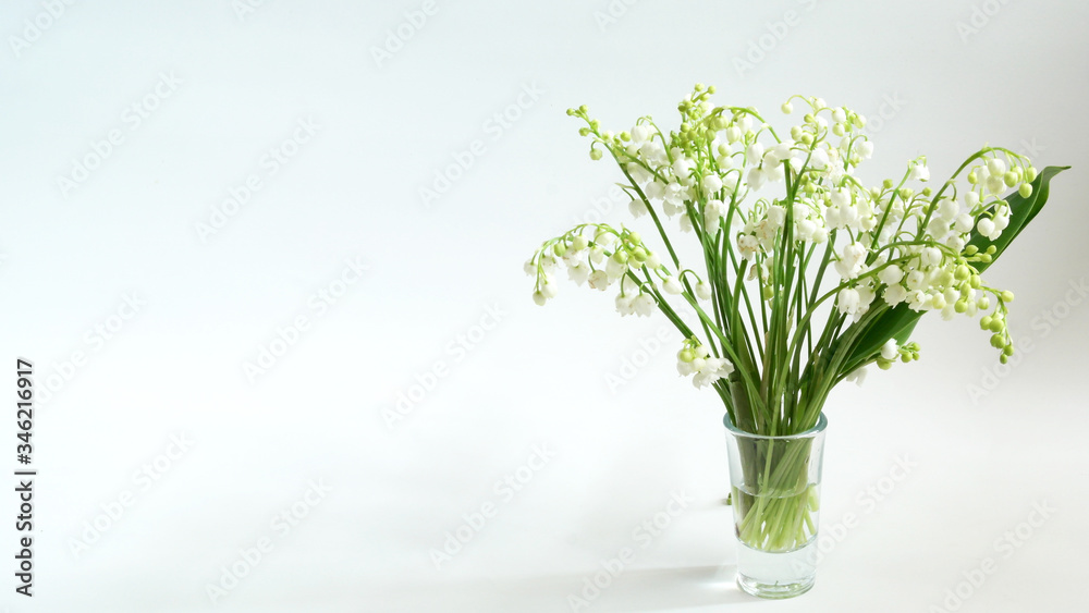 snow-white forest lilies of the valley snow-white forest lilies of the valley