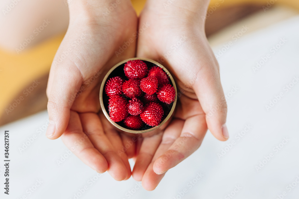 Indian Mock Wild Strawberries
Indian Mock Wild Strawberries