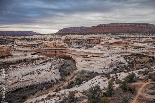 Natural Bridges National Monument 