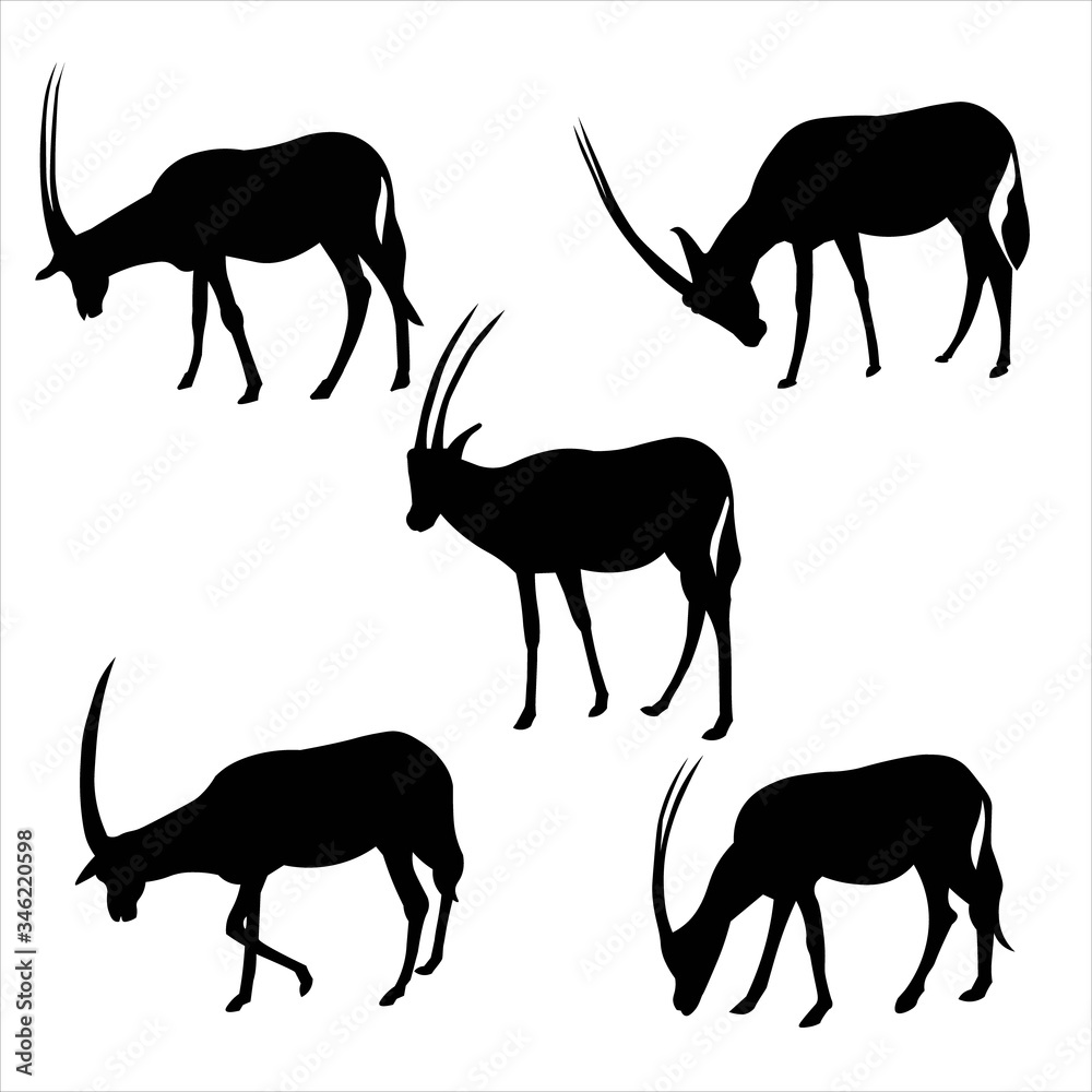 Obraz premium Antelope springbok. Set of isolated black antelope on white background. Wild animal. Set of African wild gazelle with long horns. Animal design. Flat vector illustration, side view.