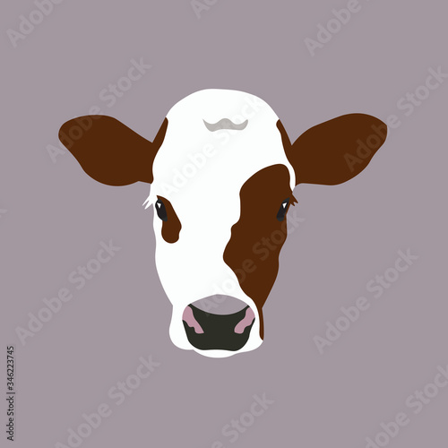 Vector cartoon calf head isolated on grey background. Cow calf. Farm animal. Mammal. Neat head. Easy editable layered. Icon, sign, symbol, eco banner.