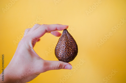 Salak in hand on bright yellow background, fresh thai snake fruit